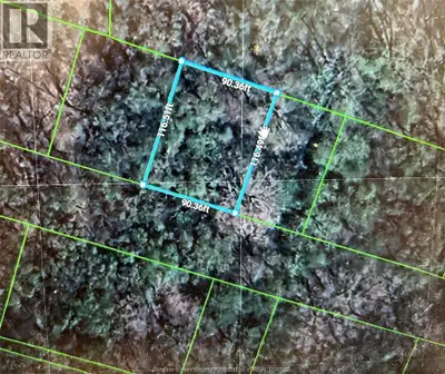 GREAT PIECE OF VACANT LAND FOR POTENTIAL FUTURE BUILD! VACANT UNSERVICES LAND. BUYER TO PERFORM DUE...