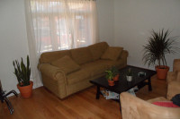 Apartment for rent - Hintonburg