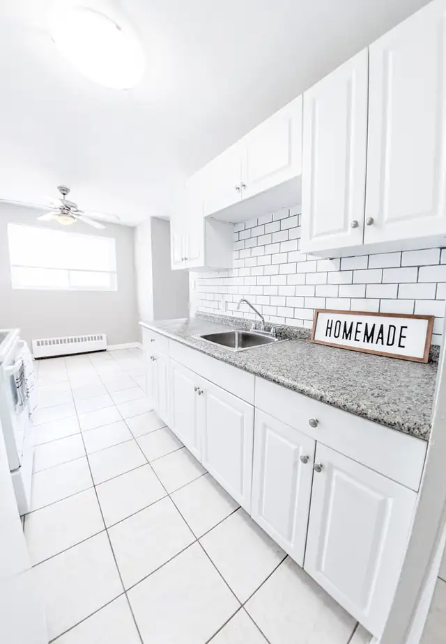 ALL INCLUSIVE - Silverbirch Apts 1BR in Waterloo in Long Term Rentals in Kitchener / Waterloo - Image 5