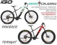 iGO Outland SAWBACK TORNGAT RS Mid Drive Mountain Fat Electric Calgary Alberta Preview