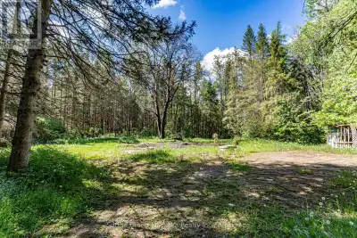 10 acre lot located close to the Village of Emsdale . This lot has over 600 feet of frontage offerin...
