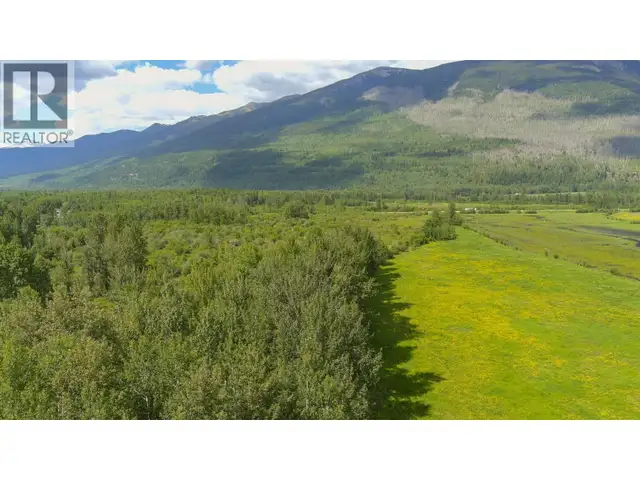 DL 5314 HORSESHOE LAKE ROAD McBride, British Columbia in Land for Sale in Quesnel - Image 17