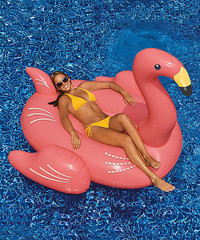 BRAND NEW IN THE BOX POOL FLOATS *FLAMINGO OR SWAN*