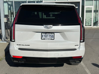 ONYX PACK * BRANDY FULL LEATHER * TOURING PACK (image 4)