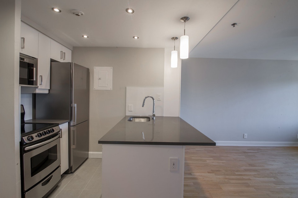 Renovated one bedroom apartment near McGill - ID 1093 4
