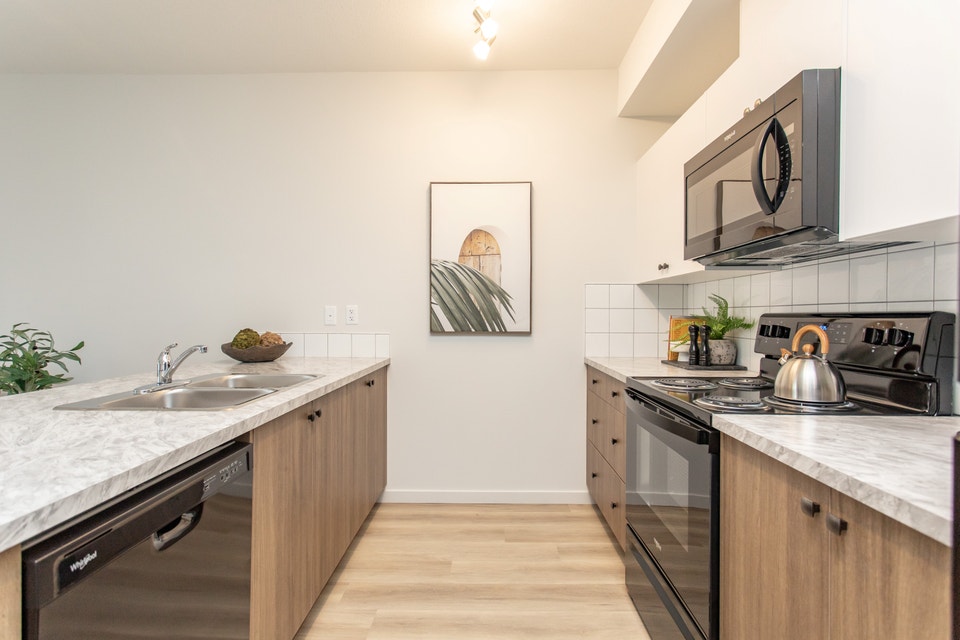 Brand New - 1 Bed 1 Bath at BlueWater Apartments North 3