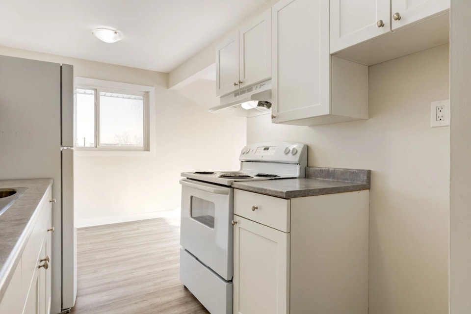 Spacious and bright apartments for rent 5