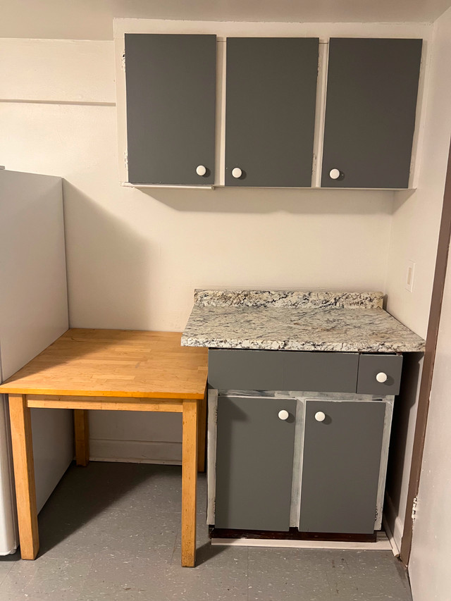 Room Available in Toronto Annex, Adjacent to Yorkville in Room Rentals & Roommates in City of Toronto - Image 4