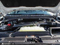High Output 3.5L EcoBoost, Platinum Ultimate Package, Driver's Package! THIS VEHICLE IS LOCATED AT D... (image 8)