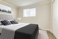 Amenities: Balconies • Heat & Water Included • Great Location Suite & Building: Bachelor, one-bedroo... (image 6)