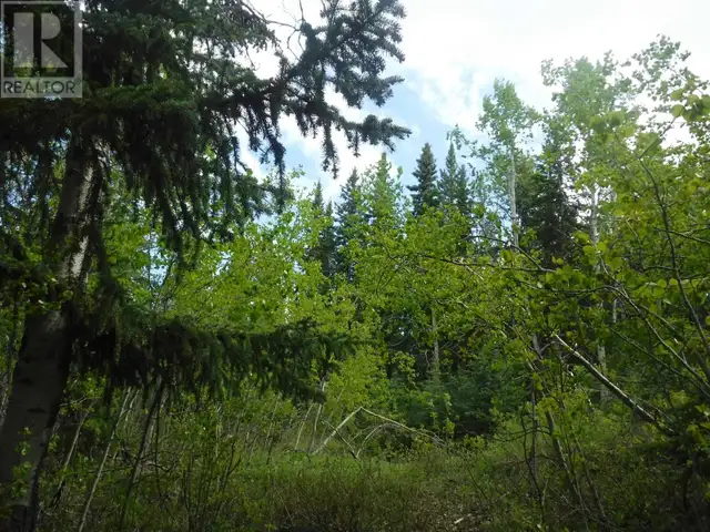 CHILCOTIN HIGHWAY Chilcotin, British Columbia in Land for Sale in Burns Lake - Image 15