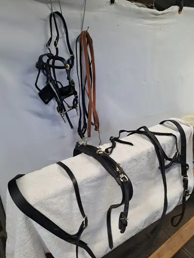 MINI LEATHER HARNESS, View more