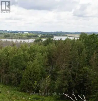 Experience Modern Country Living on a Rare 100-Acre Oasis An exceptional opportunity to own a truly...