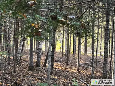 Magnifique terrain plat de presque deux acres situé dans un secteur paisible. Électricité et fibre o...