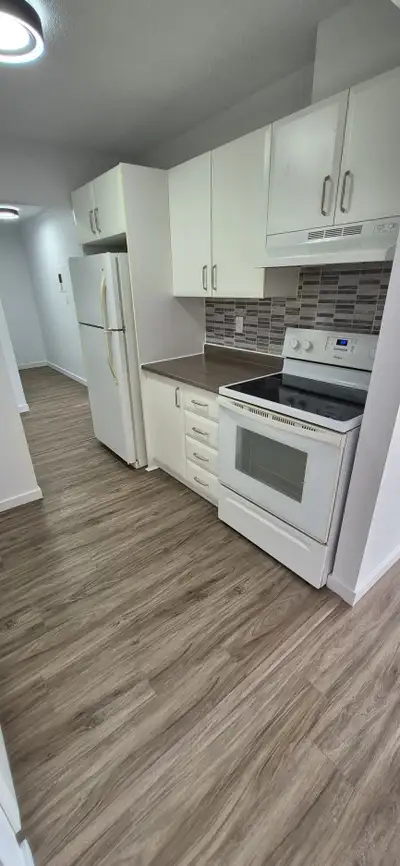 ( gatineau) Magnifique 51/2