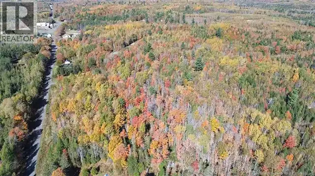 33 Dorrington Hill Road Canterbury, New Brunswick in Land for Sale in Fredericton - Image 4