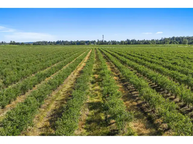 15683 64 AVENUE Surrey, British Columbia in Land for Sale in Delta/Surrey/Langley - Image 2