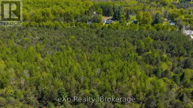 5716 COUNTY ROAD 9 Clearview, Ontario in Land for Sale in Oakville / Halton Region - Image 26