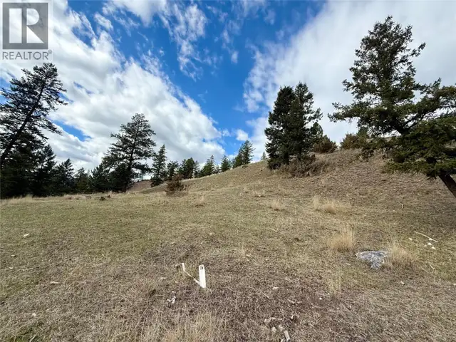 2400 KOOTENAY RD NO 3 Road Lot# 2 Windermere, British Columbia in Land for Sale in Cranbrook - Image 23