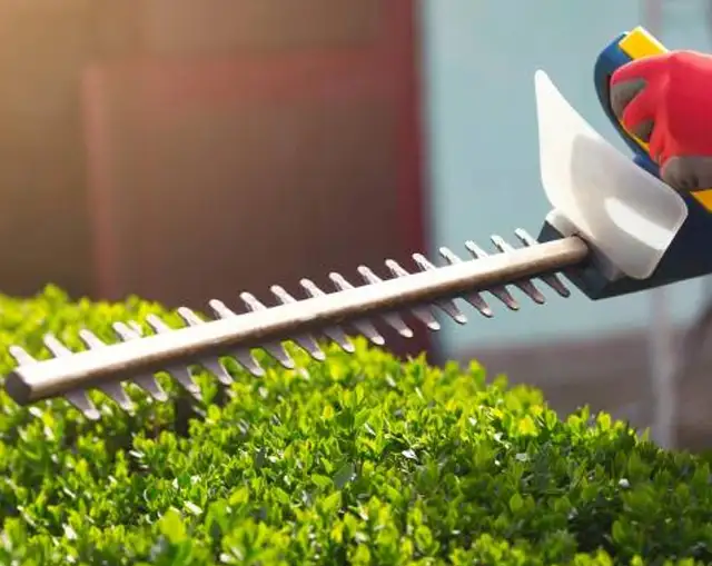 High-quality gardening services for you! in Other in Oakville / Halton Region - Image 4
