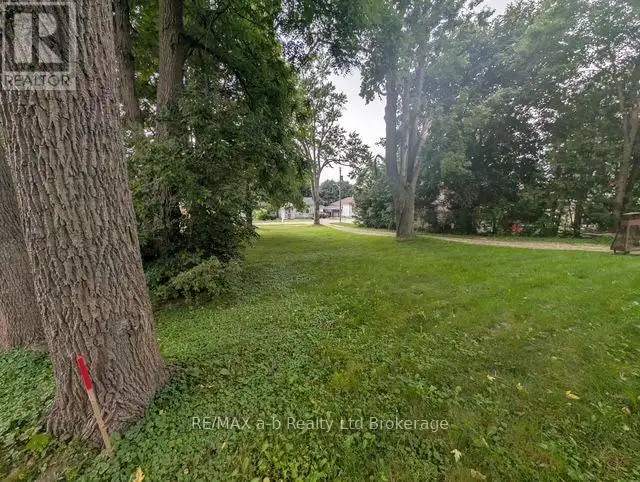 305 HALL STREET Ingersoll (Ingersoll - South), Ontario in Land for Sale in Woodstock - Image 5