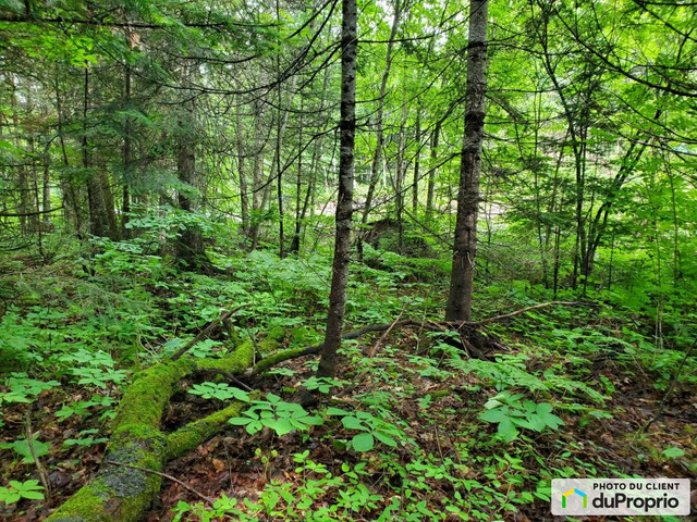 46 000$ - Prix taxes en sus - Terrain résidentiel à vendre in Land for Sale in Gatineau - Image 4