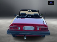 Welcome to Auto View! JUST LANDED!! 1976 Alfa Romeo Spider Veloce!! **CERTIFIED** The 1976 Alfa Rome... (image 6)