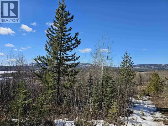 970 NASH ROAD Burns Lake, British Columbia in Land for Sale in Burns Lake - Image 4