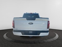For more than thirty years, the Ford F-150 has been one of the best selling cars in the U.S. It’s a... (image 3)