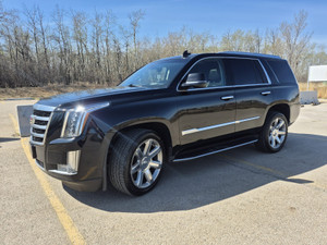 2018 Cadillac Escalade Luxury