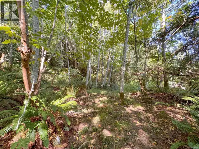 Lot 7 The Strand Gabriola Island, British Columbia in Land for Sale in Nanaimo - Image 14