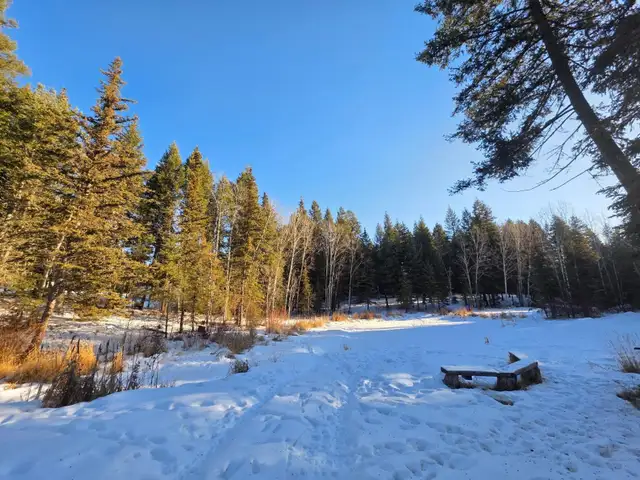 3 Bedroom mobile on 5 acres in Houses for Sale in Williams Lake - Image 2