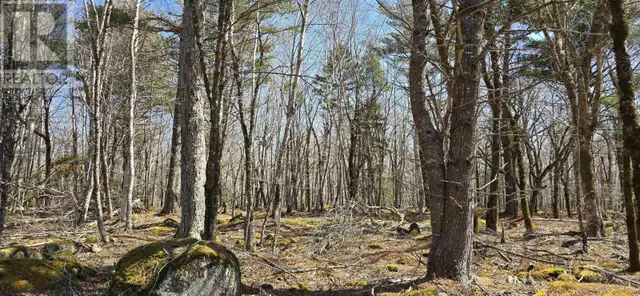 69 Sparkling Spring Lane Labelle, Nova Scotia in Land for Sale in Bridgewater - Image 18