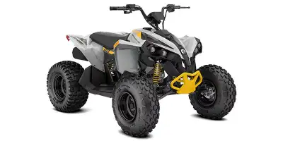 2026 Renegade 110 EFI in Catalyst Grey $4,599 + FRT/PDI Financing Available (Call For Details) (613)...
