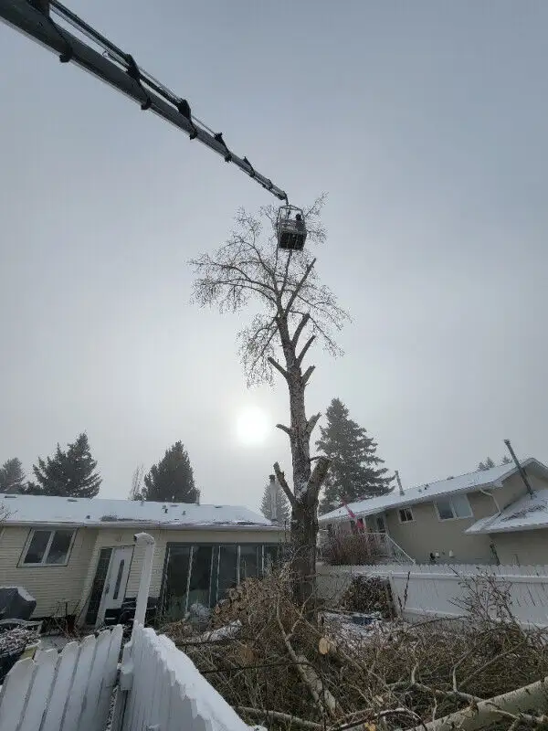 Picker Trucks For Hire! in Other in Red Deer - Image 10