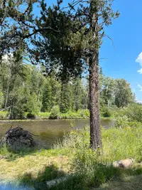 RV Lot for sale $32,000 near Yahk, BC