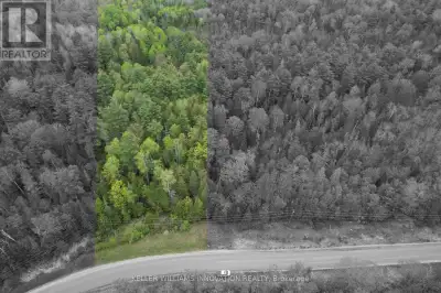 Escape to your private sanctuary in the heart of Lanark Highlands! Discover 1426 French Line Rd, a b...