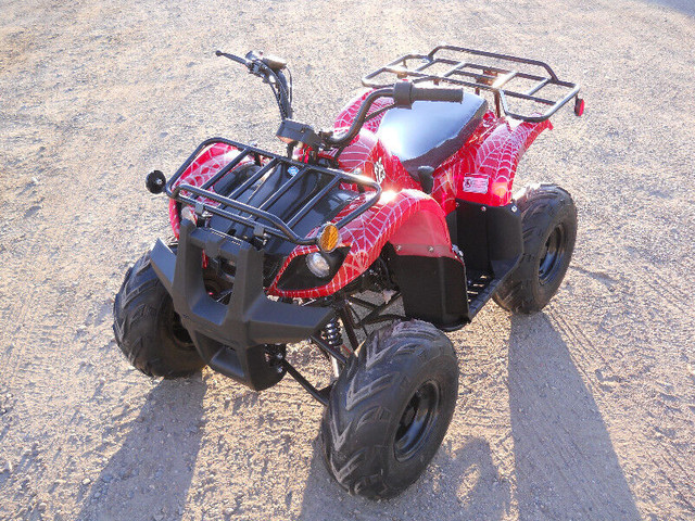 ATVS/QUADS/DIRT BIKES/DUNE BUGGYS/UTVS/CLEARANCE SALE ON NOW in ATVs in Brandon - Image 4