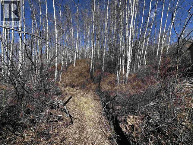 LOT 20 FRANCOIS LAKE ROAD Fraser Lake, British Columbia in Land for Sale in Burns Lake - Image 11