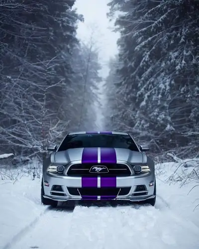 17" Winter tire and rim package for 2015 and up Ford Mustang $759.99 Includes 235/55/17 Zmax Snow Gr...
