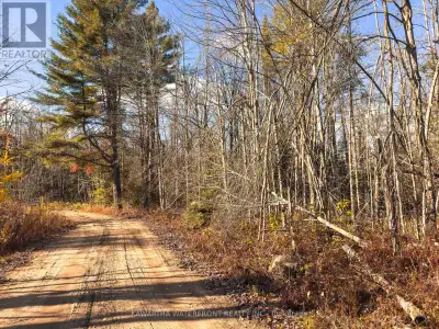 This almost half acre lot is situated on the privately maintained Weismuller Lane. Close proximity t...