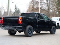 ... Safety Equipment Daytime Running Lamps with automatic exterior lamp control HD Rear Vision Camer... (image 3)