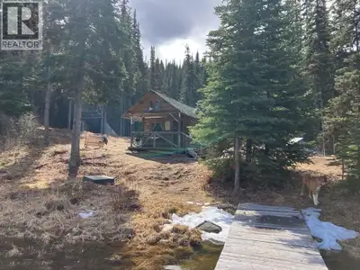 Cozy Cabin on Lake Helen. Have you ever dreamed of owning your own cabin on a quiet, picturesque lak...