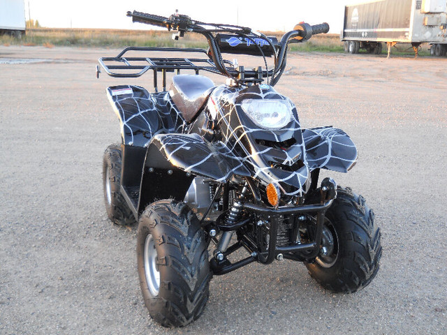 ATVS/QUADS/DIRT BIKES/DUNE BUGGYS/UTVS/CLEARANCE SALE ON NOW in ATVs in Brandon - Image 2