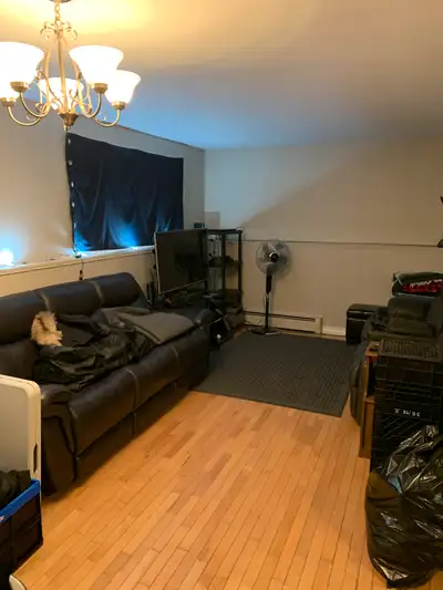 294 MILLIDGE - 2 BDR LOWER LEVEL UNIT IN 4 PLEX