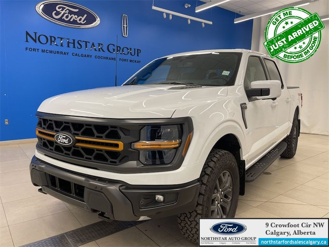 2025 FORD F-150 Tremor in Cars & Trucks in Calgary