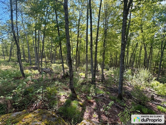 $274,000 - Residential Lot for sale in Mont-Tremblant — photo 1