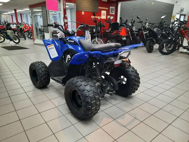 9999 Apollo GIZMO 120CC 120CC AS LOW AS $31BW FOR 36M in ATVs in Bridgewater - Image 9