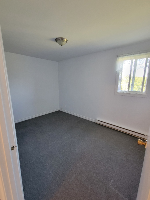 Apartment  available Immidiately in Long Term Rentals in Gander - Image 3