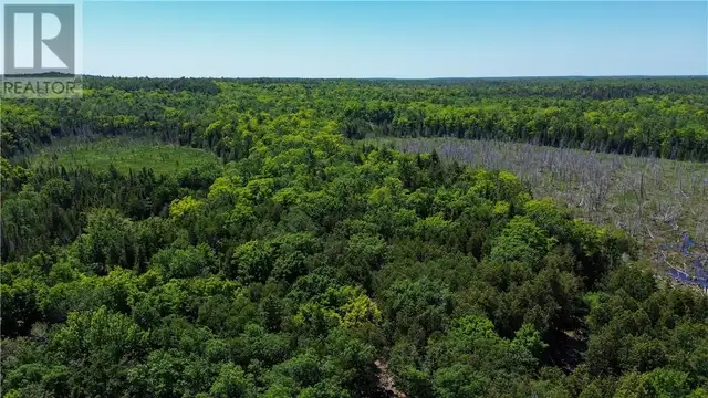514C East Road Mindemoya, Manitoulin Island, Ontario in Land for Sale in Sudbury - Image 40